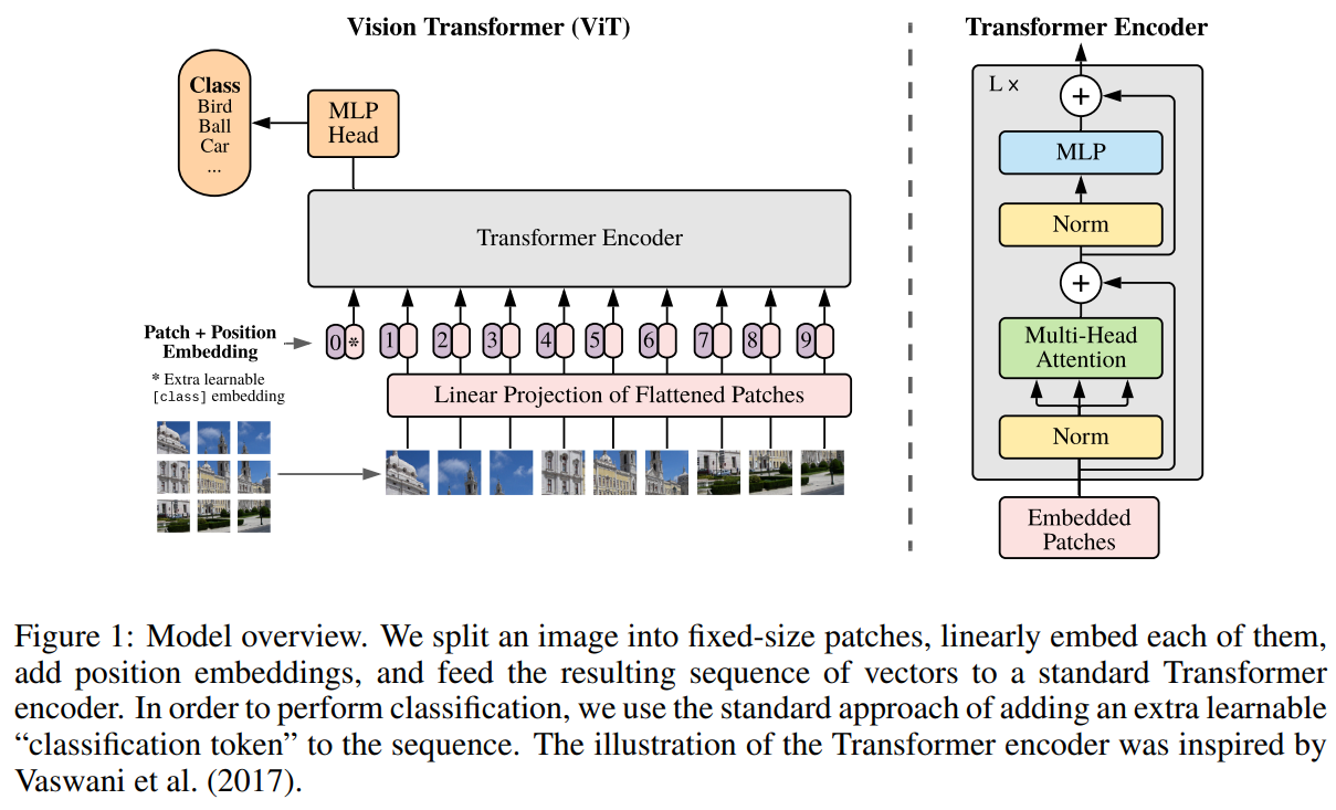 Fig.2 vision transformer architecture