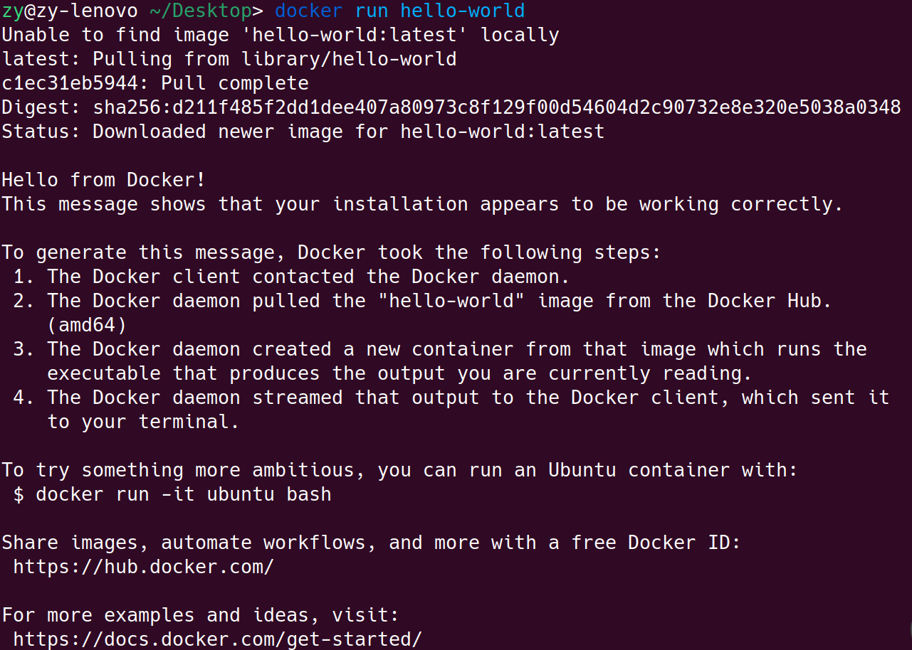 Fig.1 docker run test