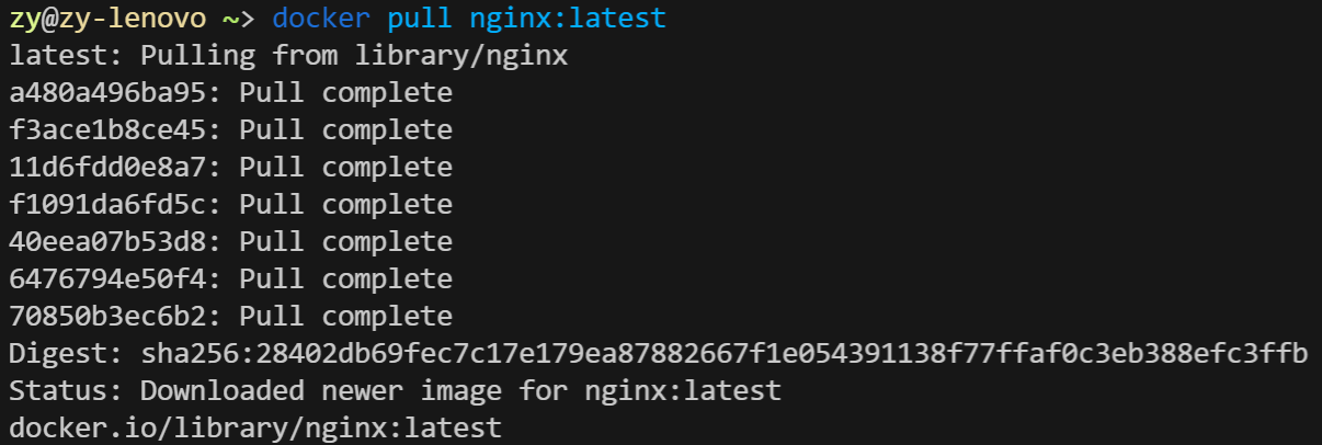 Fig.1 docker pull