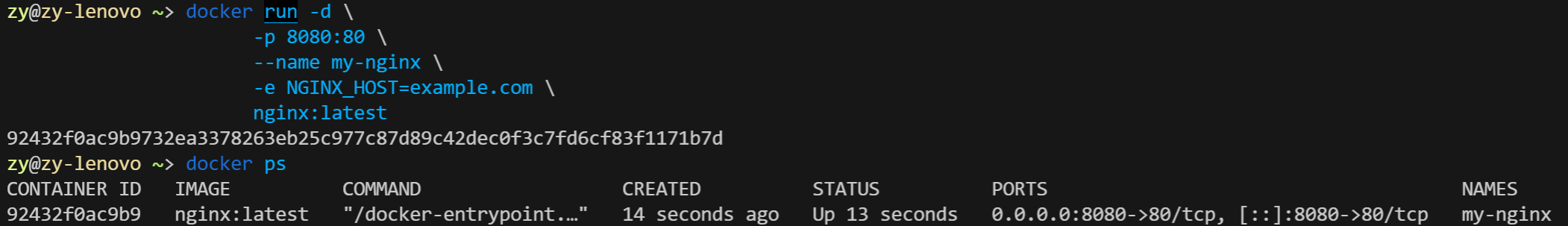Fig.3 docker run