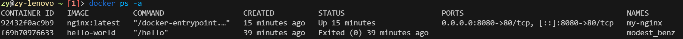Fig.6 docker ps